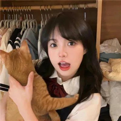 国产精品大众爱看《人人都爱追剧》全集 - 全龄适配好剧